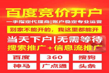 SEM运营公司成功案例解析